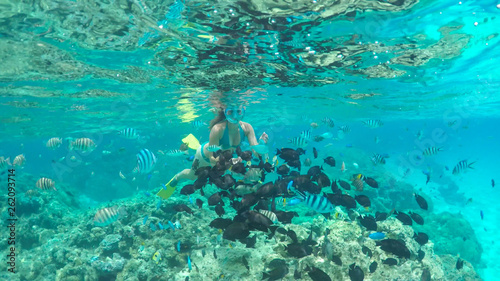 Fototapeta Naklejka Na Ścianę i Meble -  UNDERWATER: Young tourist girl interacting with colorful fish while snorkelling.