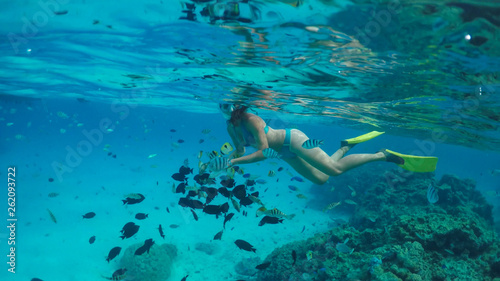 UNDERWATER: Young woman on vacation in Bora Bora swimming with tropical fish.