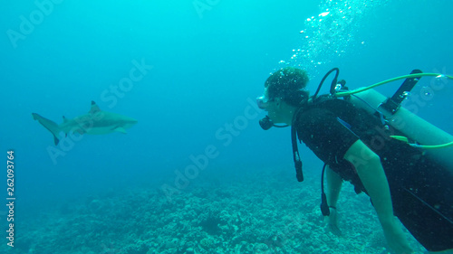 UNDERWATER: Young man diving in the Pacific meets an adult blacktip shark.