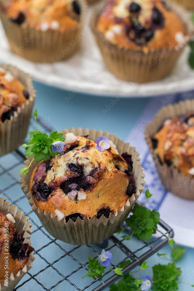 Homemade sweet blueberry muffins with nib sugar Homemade sweet blueberry muffins with nib sugar
