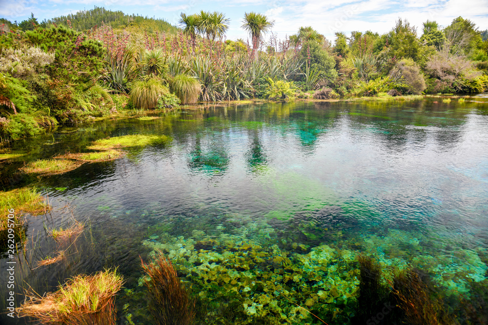 Pupu Springs Neuseeland