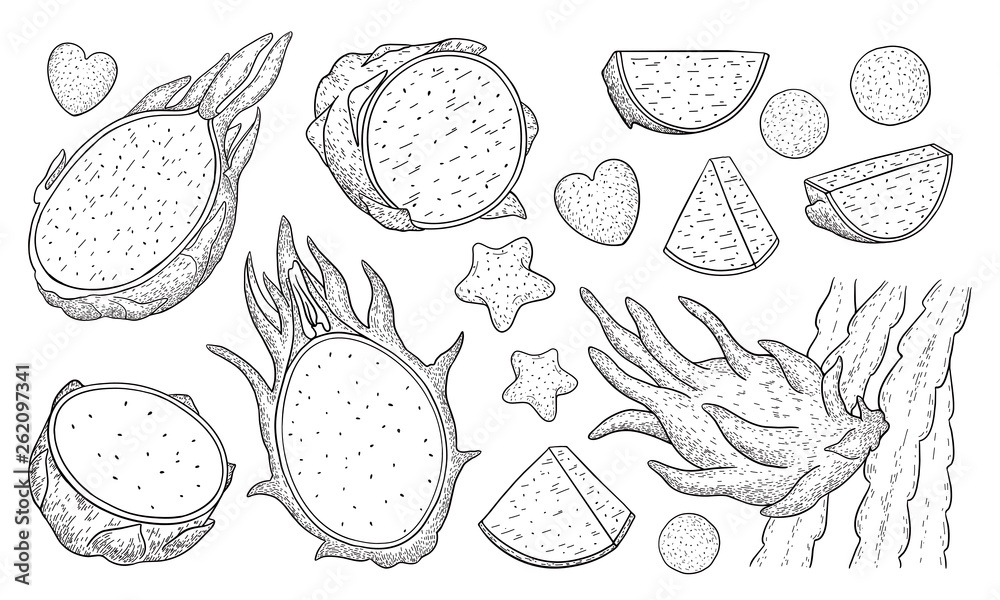 Dragon fruit.Pitaya.Pitahaya whole and sliced exotic fruit isolated on white background.Energy food,refreshing cocktail product for restaurants and cafes.Hand drawn engraving style vector. Dragon fruit.Pitaya.Pitahaya whole and sliced exotic fruit isolated on white background.Energy food,refreshing cocktail product for restaurants and cafes.Hand drawn engraving style vector.