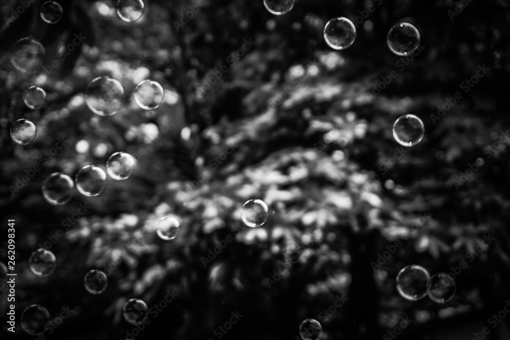 Beautiful colorful black and white soap bubbles texture background and wallpaper