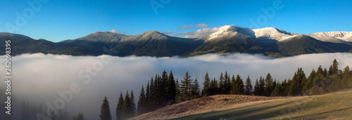 Beautiful fog on a sunny morning in the mountains. Panoramic photo of the view of the scenic landscape of the mountains in summer. Autumn Carpathians.