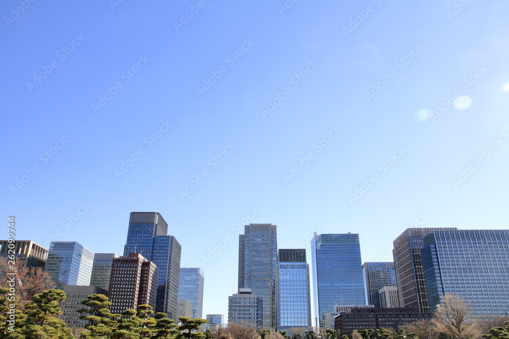 Fototapeta premium 皇居外苑と丸の内の高層ビル