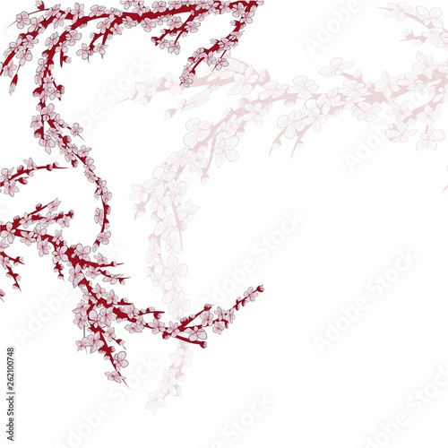 Realistic sakura japan cherry branch with blooming flowers. EPS 10 vector file included.
