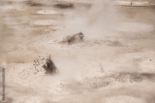 Mud Pool at Wai-O-Tapu Geothermal Area near Rotorua  New Zealand