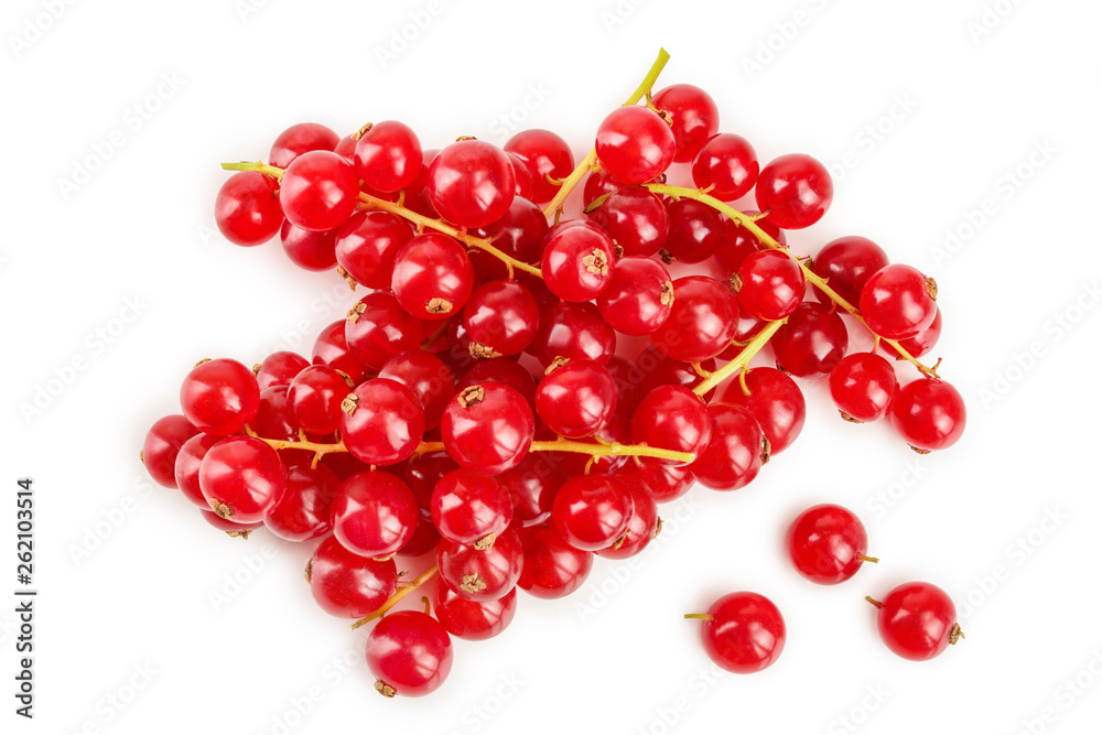 Red currant berry isolated on white background. Top view. Flat lay pattern Red currant berry isolated on white background. Top view. Flat lay pattern