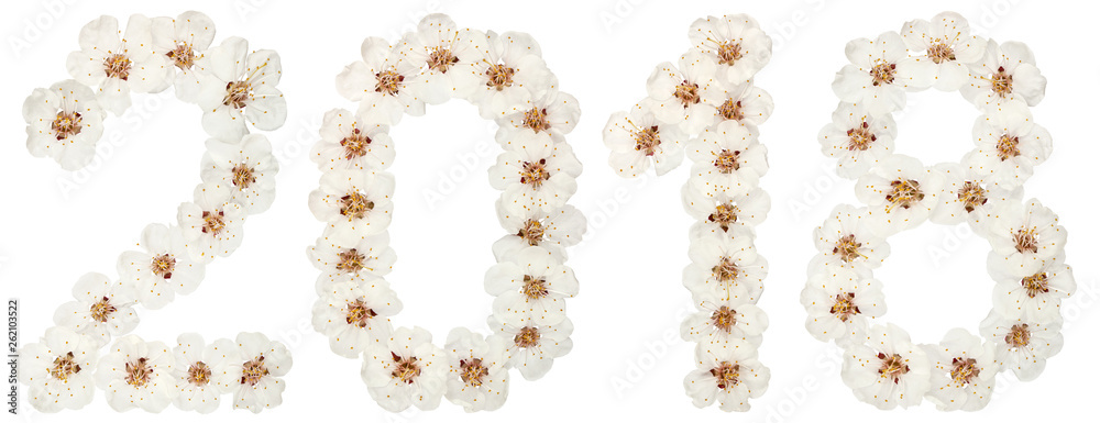 Inscription 2018, from natural white flowers of apricot tree, isolated on white background