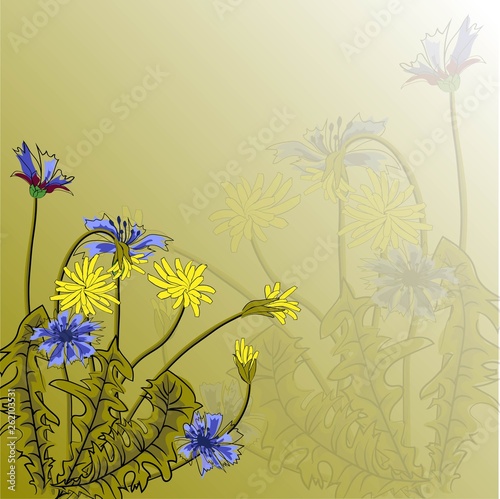 Vector illustration with beautiful field cornflowers and dandelions on a green background. For decorating textiles, packaging and wallpaper.