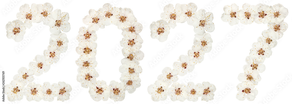 Inscription 2027, from natural white flowers of apricot tree, isolated on white background Inscription 2027, from natural white flowers of apricot tree, isolated on white background