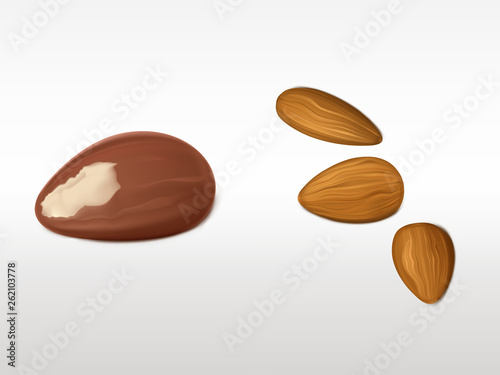 Almonds and brazilian nut set isolated on white background. Unpeeled fresh products for healthy vegetarian nutrition. Highly detailed elements for advertising design. Realistic 3d vector illustration.