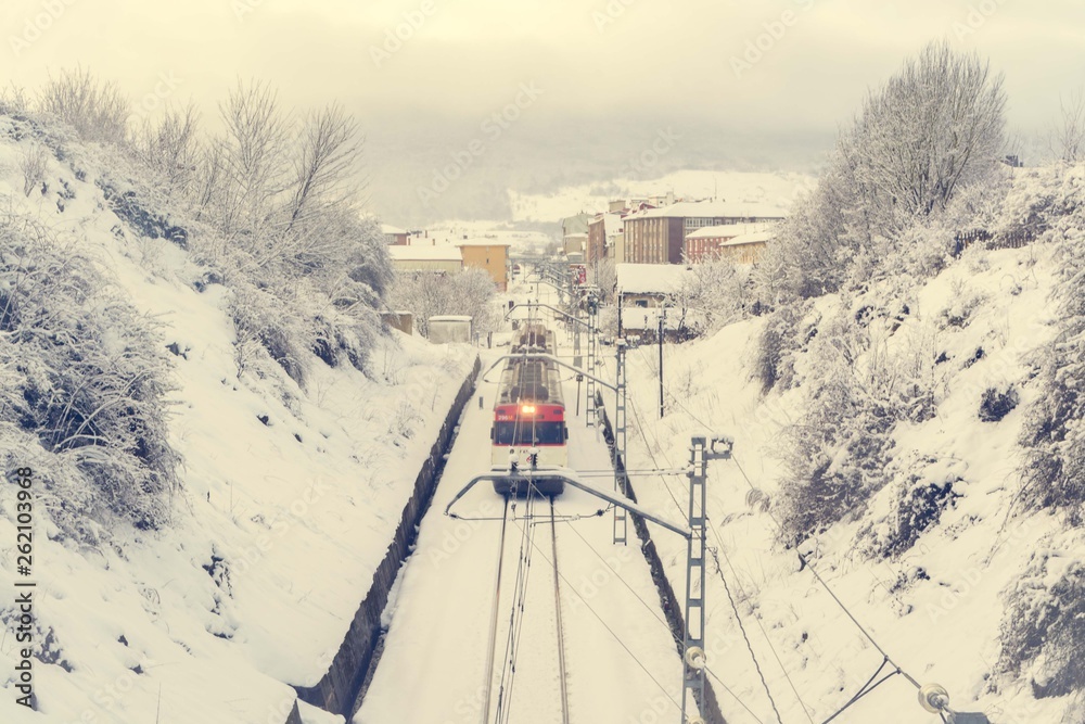 Fototapeta premium el tren y la nieve