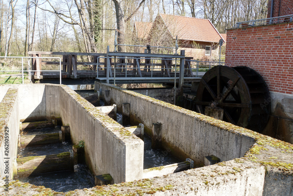 Fischtreppe und Mühlrad - historische Woltersburger Mühle