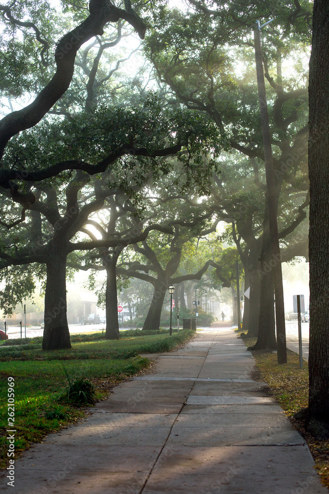 city pathway city pathway