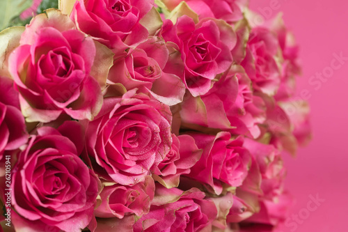 Big bouquet from red roses on a pink background