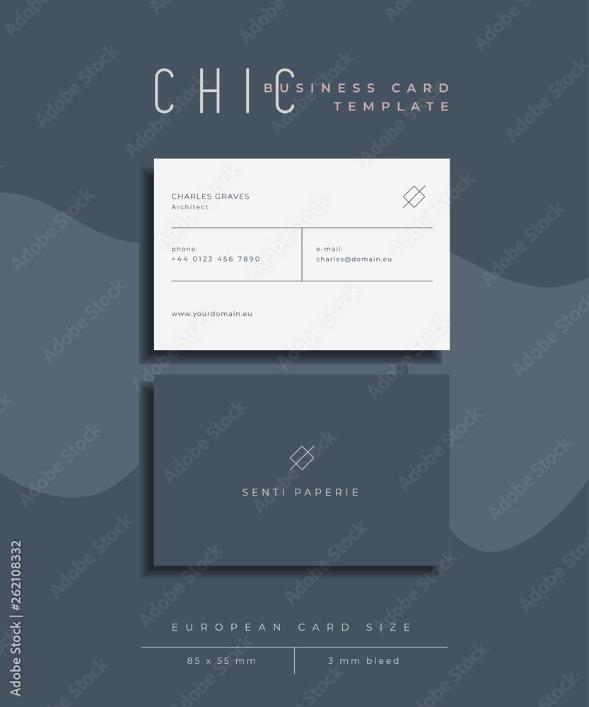 Chic Business Card Template, European Size Stock Vector | Adobe Stock