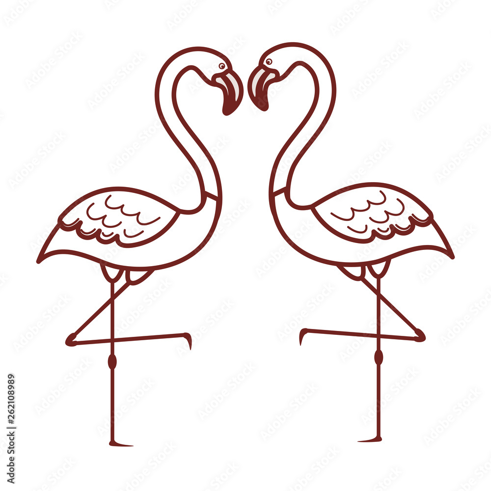 Obraz premium pink flamingo isolated icon