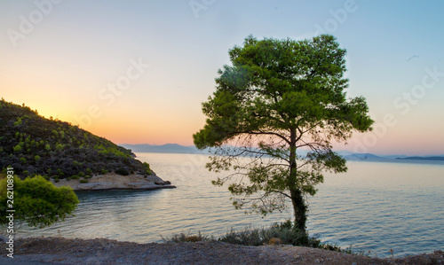 Beautiful Spetses Island- Pine 