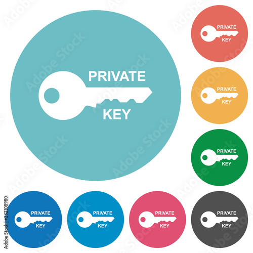 Private key flat round icons