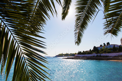 Beautiful beach on Spetses Island Greeace  . Sight from Palm leaves