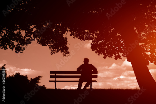 old man sitting alone on park bench under tree;