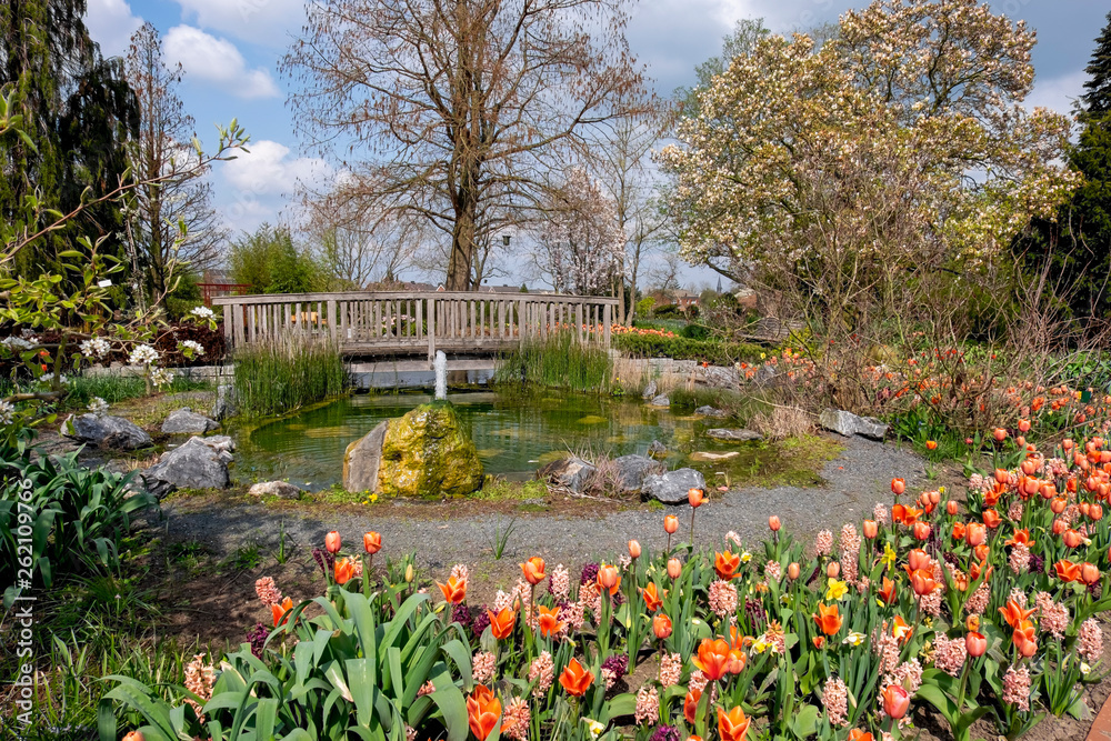 Fototapeta premium Fruehling im Kreislehrgarten