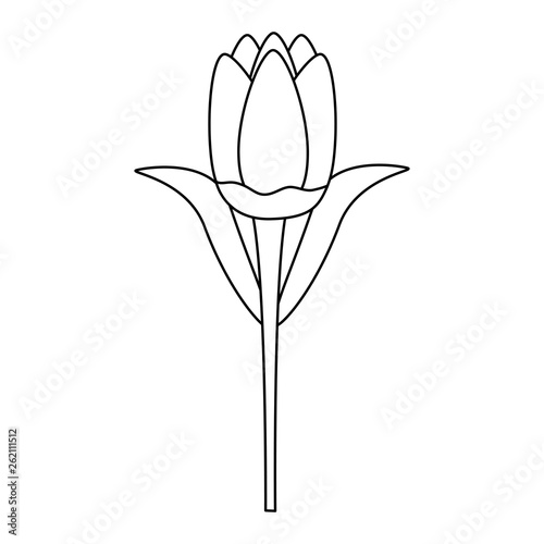 delicate flower decoration