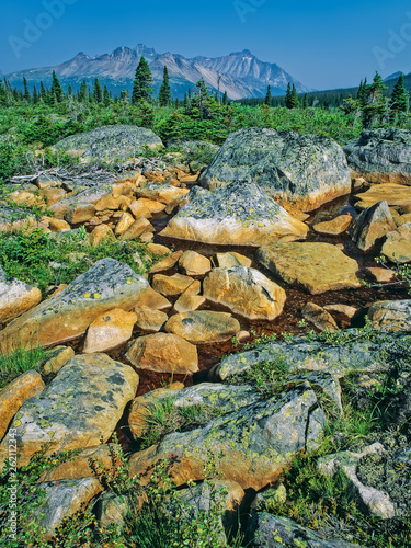 Rocky pool in alpine meadow in Tonquin Valley, Jasper National Park, Canada