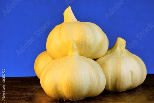 Garlic is a popular vegetable, sharp taste and characteristic smell. Garlic is valued for its unique taste, aroma and healing properties. This vegetable gives sharpness and piquancy to many dishes.