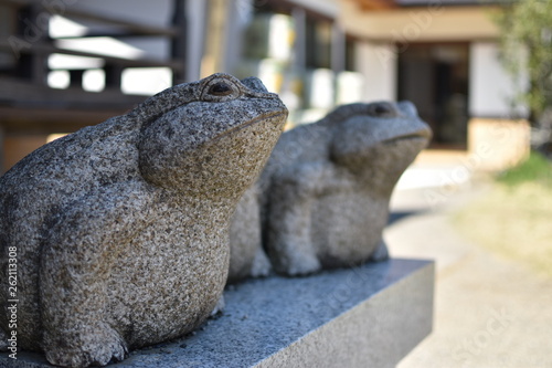 カエル