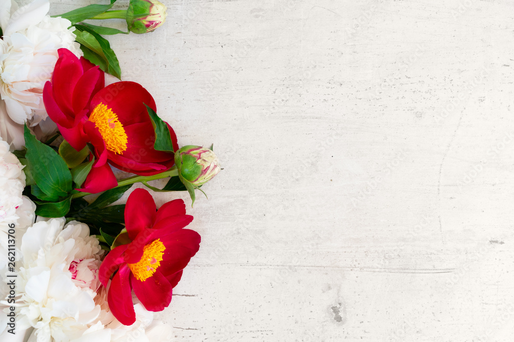Fresh peony flowers Fresh peony flowers