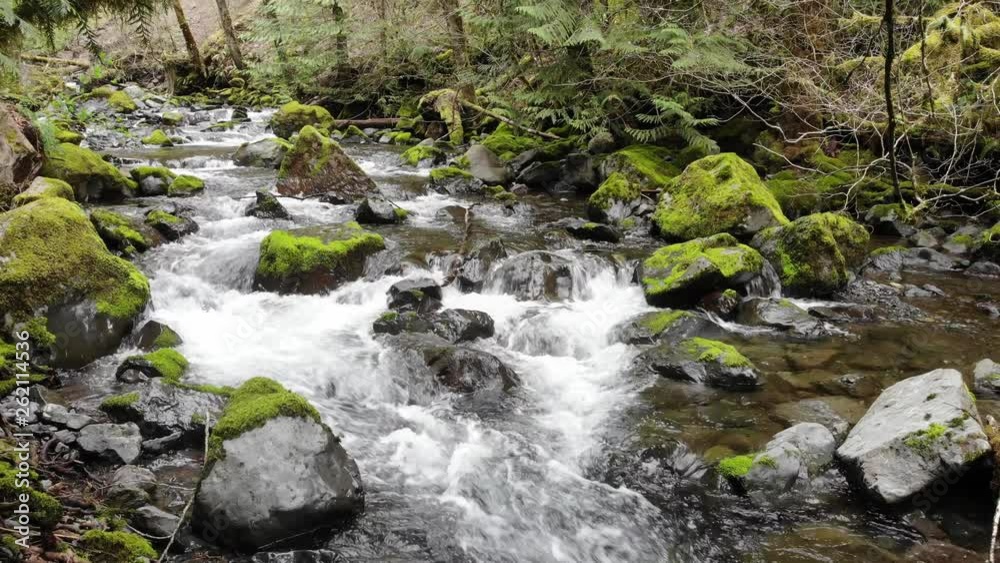 Rocky Brook flowing out of the Olympic National Park on Washington's Olympic Peninsula Rocky Brook flowing out of the Olympic National Park on Washington's Olympic Peninsula