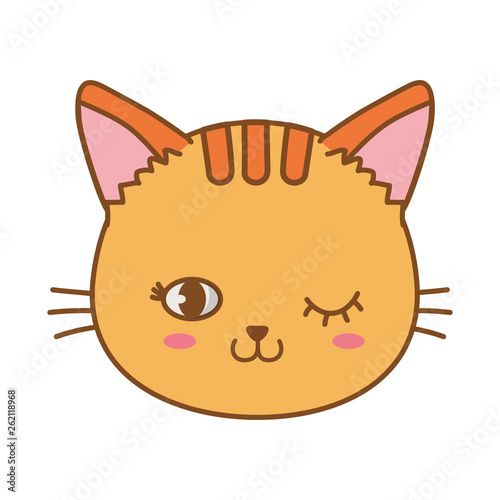 cat face wink eye