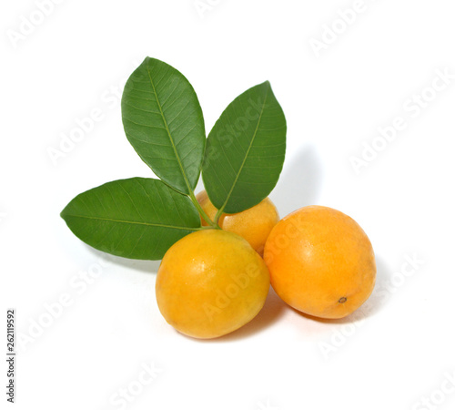 Fruit of Brazil cajarana. Cajá. Sour and delicious fruit with leaves. Isolated Cajaranas fruits.