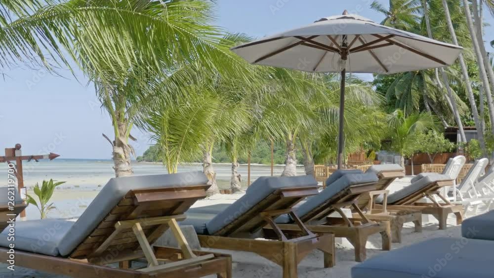 Line of chairs near a row of small palm trees on a peaceful tropical beach. Seaside paradise with turquoise water and a warm coastal breeze. White sand beach of an amazing tourist destination. Line of chairs near a row of small palm trees on a peaceful tropical beach. Seaside paradise with turquoise water and a warm coastal breeze. White sand beach of an amazing tourist destination.