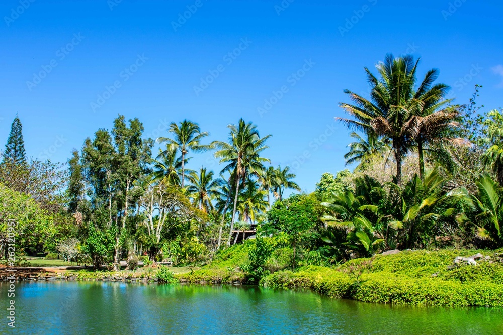 Tropical Paradise Garden and Lake