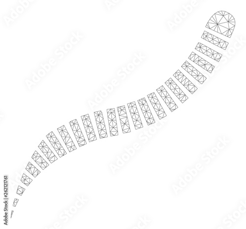Mesh annelid worm polygonal 2d illustration. Abstract mesh lines and dots form triangular annelid worm. Wire frame 2D polygonal line network in vector format isolated on a white background.
