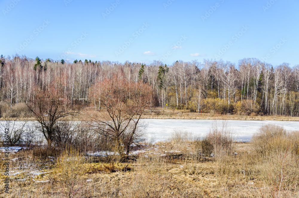 Early spring. Park Long ponds in Moscow. The pond is covered with ice. Landscape