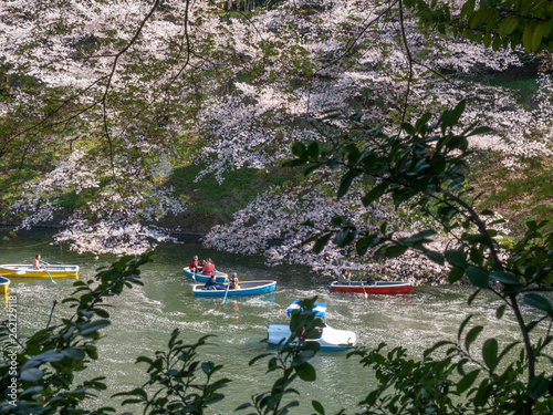 Chiyoda, Tokyo / Japan - April 04 2019: Beautiful lake in Chidorigafuchi, surrounding the Imperial Palace, and with hundreds of sakura trees, very nice boat riding