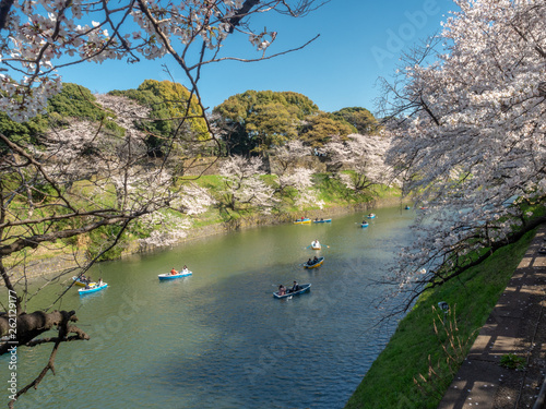 Chiyoda, Tokyo / Japan - April 04 2019: Beautiful lake in Chidorigafuchi, surrounding the Imperial Palace, and with hundreds of sakura trees, very nice boat riding
