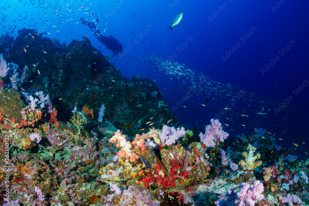 SCUBA diver on a colorful, healthy tropical coral reef