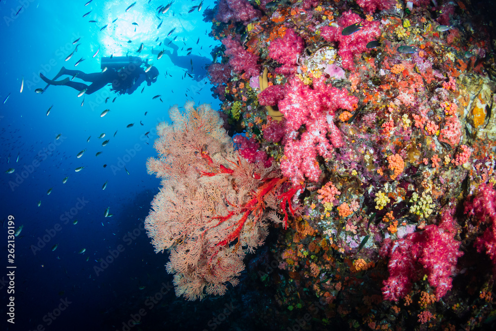 Obraz premium SCUBA diver on a colorful, healthy tropical coral reef