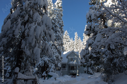 Snow falls, Yosemite