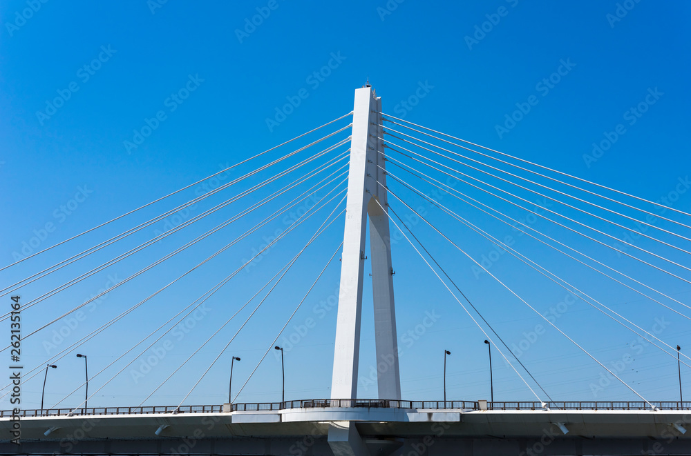 多摩川に架かる大師大橋の風景