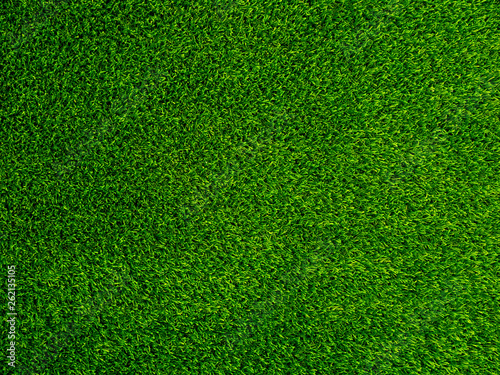 Green grass texture background, Green lawn, Backyard for background, Grass texture, Park lawn texture. Green lawn desktop picture.