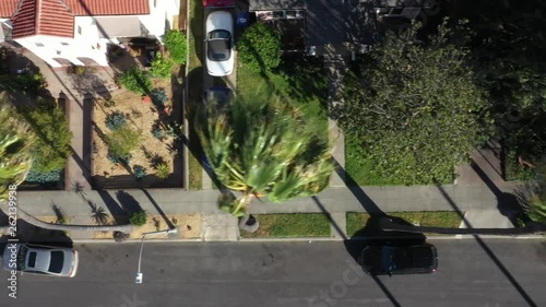 Drone flys over iconic Los Angeles palm tree lined street with the city skyline in the background.