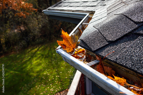 Autumn leaves in a rain gutter on a roof photo