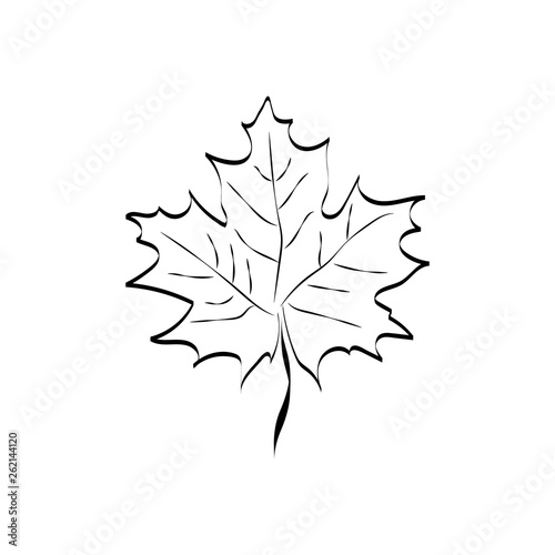 Maple leaf. Vector icon. Leaf illustration. Canada symbol.