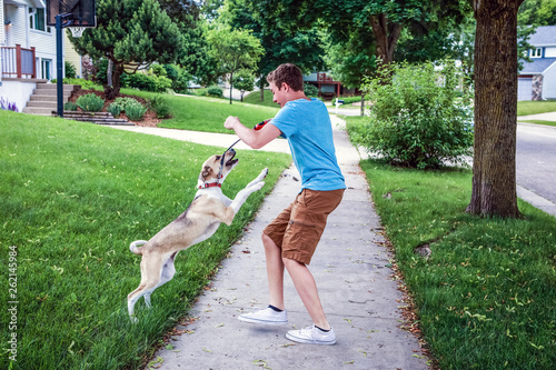 Εκτύπωση καμβά Dog playing and jumping up on teenage boy